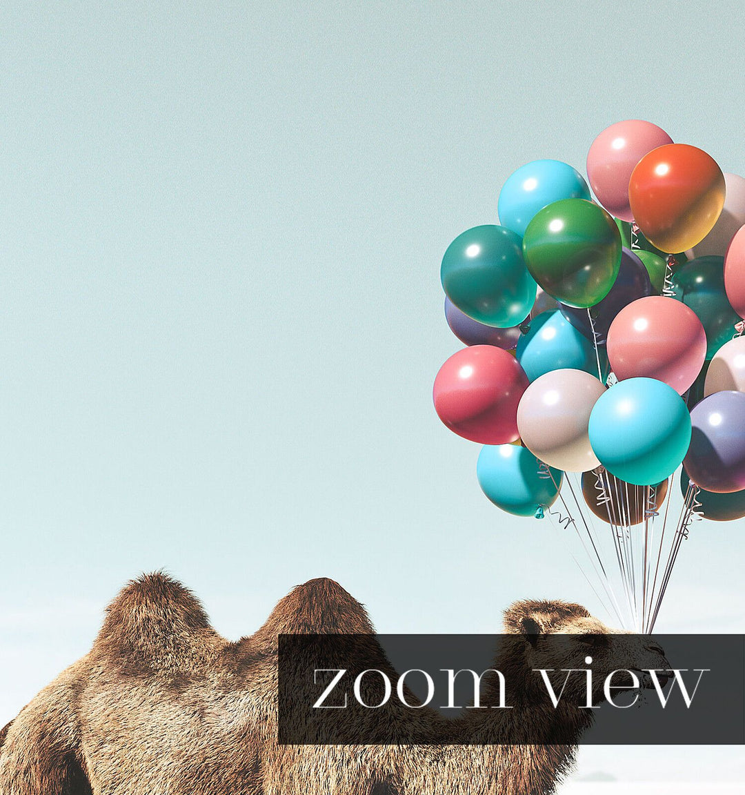 Camel with Balloons
