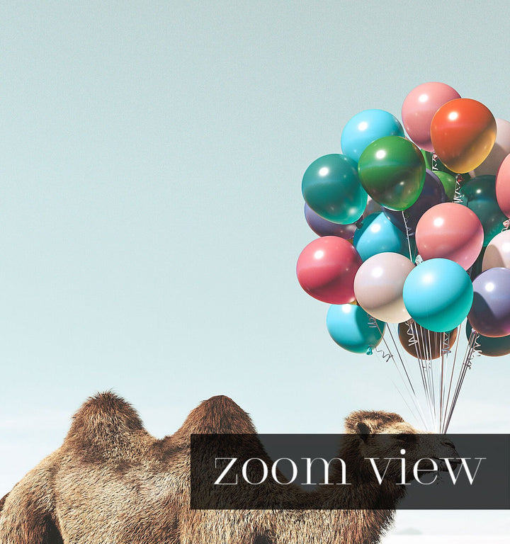 Camel with Balloons Art Print