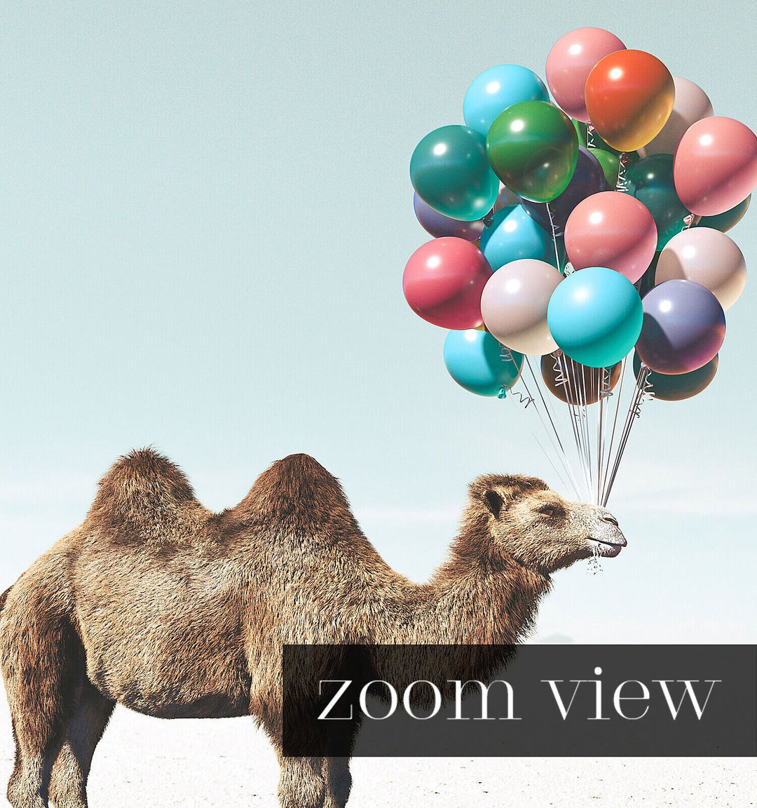 Camel with Balloons Wall Art Print