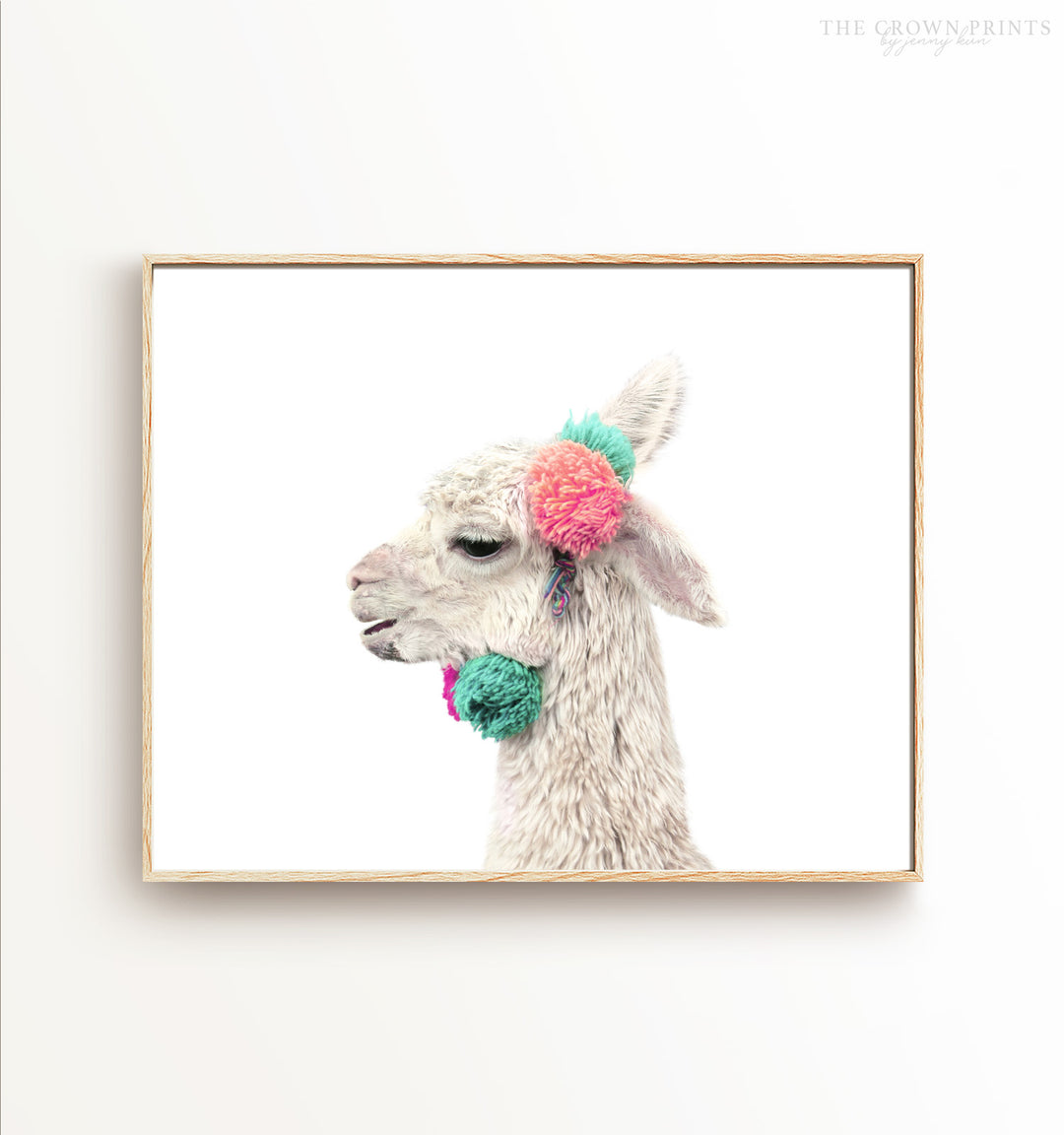 Decorated Llama (white background, horizontal)