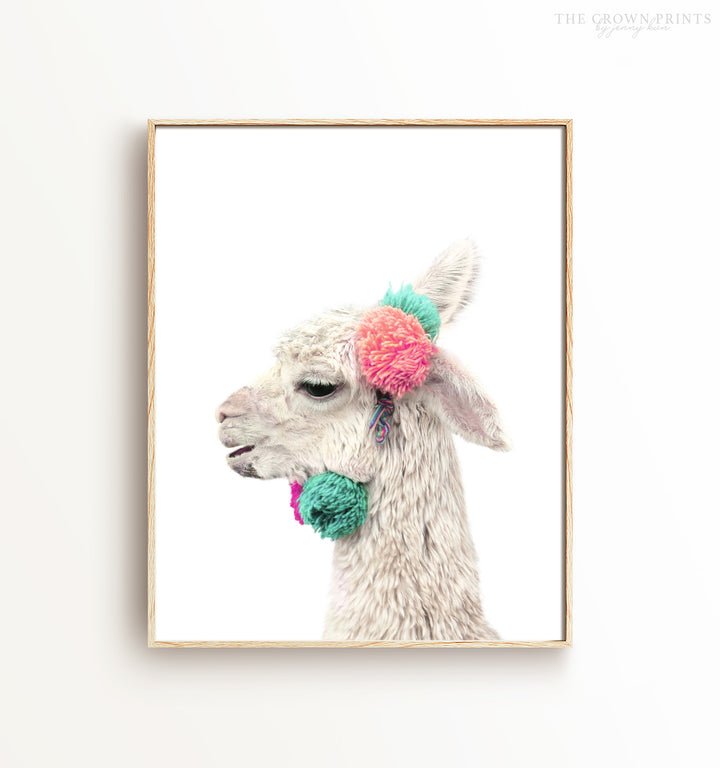 Decorated Llama (white background)
