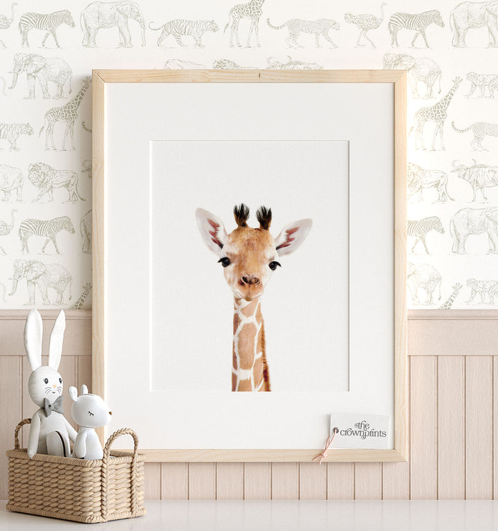 Baby Jungle & Safari Animals Set of 6 Nursery Decor Prints