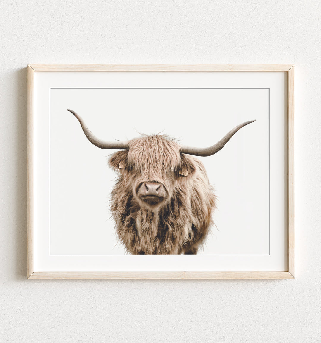 Baby Highland Cow - The Crown Prints