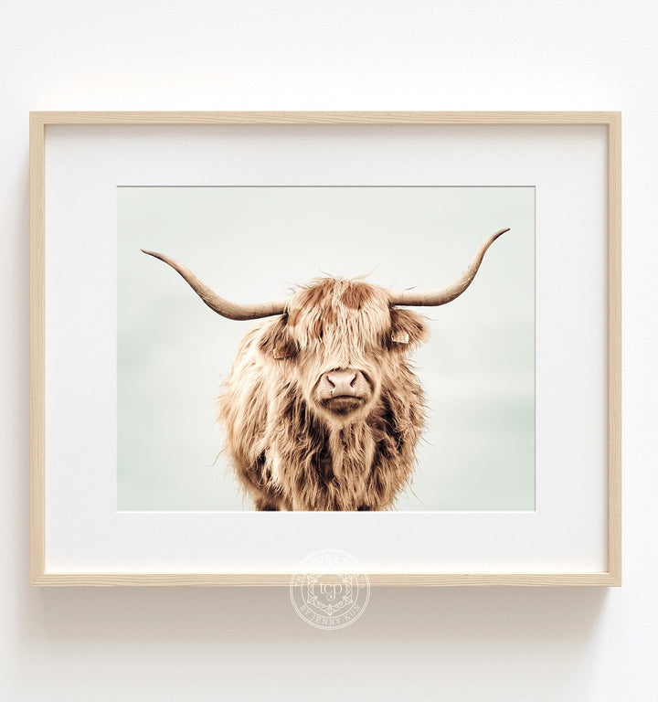 Highland Cow No. 3 with Background