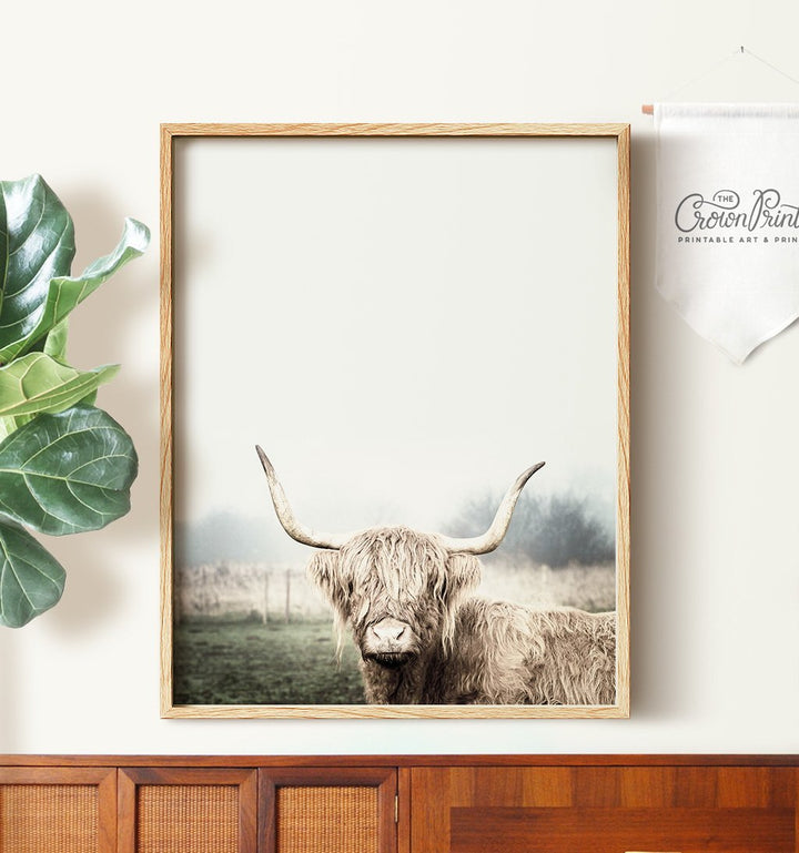 Highland Cow No. 2 - The Crown Prints
