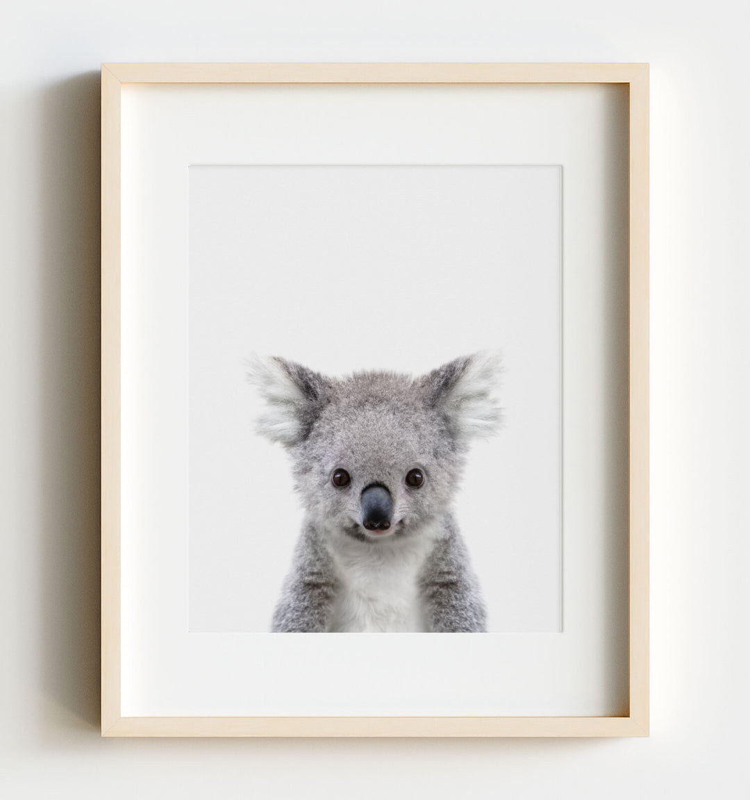 Baby Koala Print and Printable - Australian Animals Nursery Theme