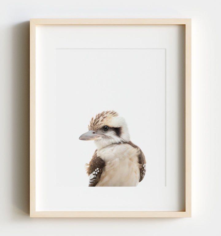 Baby Kookaburra Art Print - Nursery Animal Decor for Babies