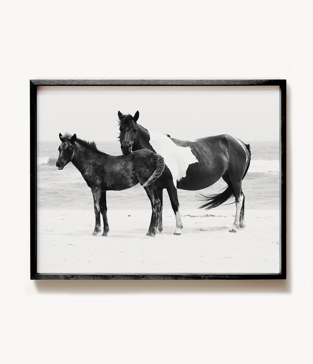 Black & White Mare and Foal Print - The Crown Prints
