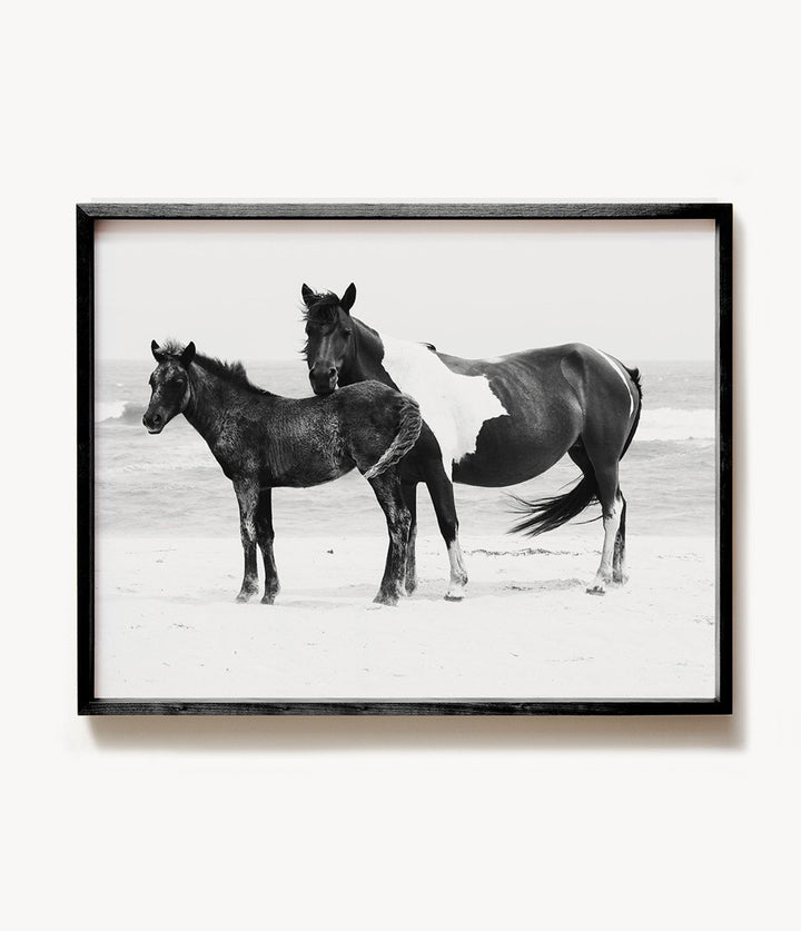 Black & White Mare and Foal Print - The Crown Prints