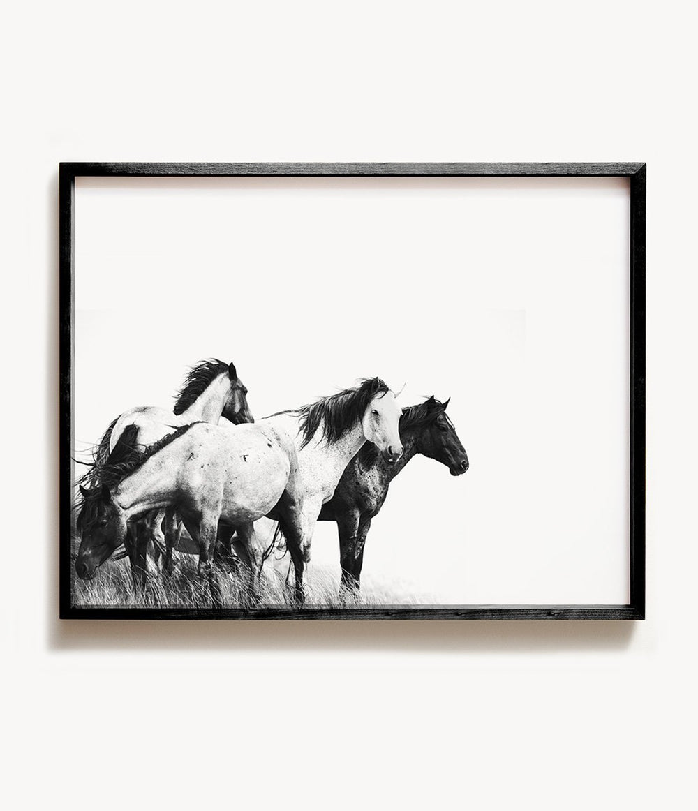 Meadow Horses Print - The Crown Prints