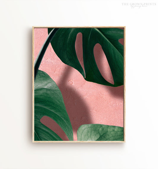Monstera on Pink
