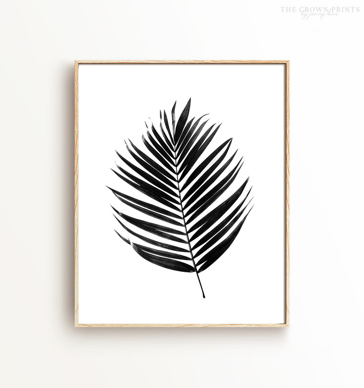 Palm leaf - black and white