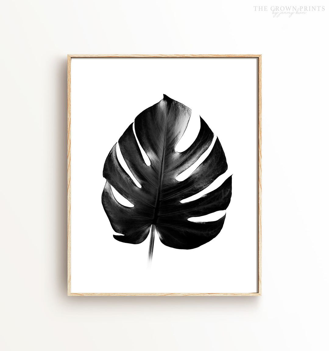 Philodendron in Black and White