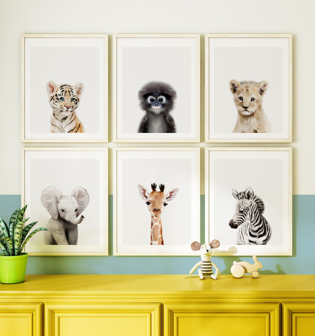 Baby Jungle & Safari Animals Set of 6
