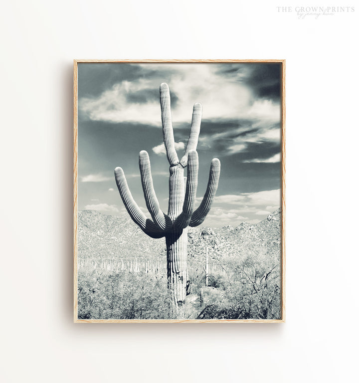 Saguaro Cactus - Steel Blue