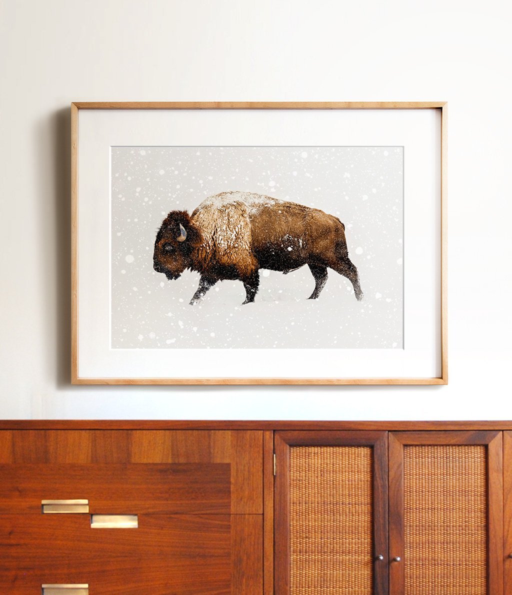 Buffalo in Snow - The Crown Prints