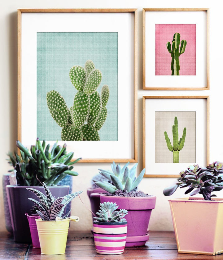 Cactus No. 1 - The Crown Prints