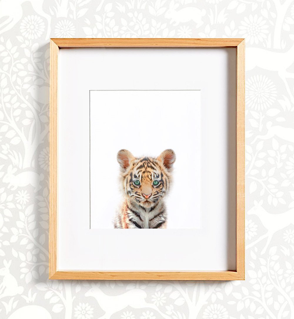 Safari Animal Prints - Set of 8 baby animals - Africa & Asia - The Crown Prints