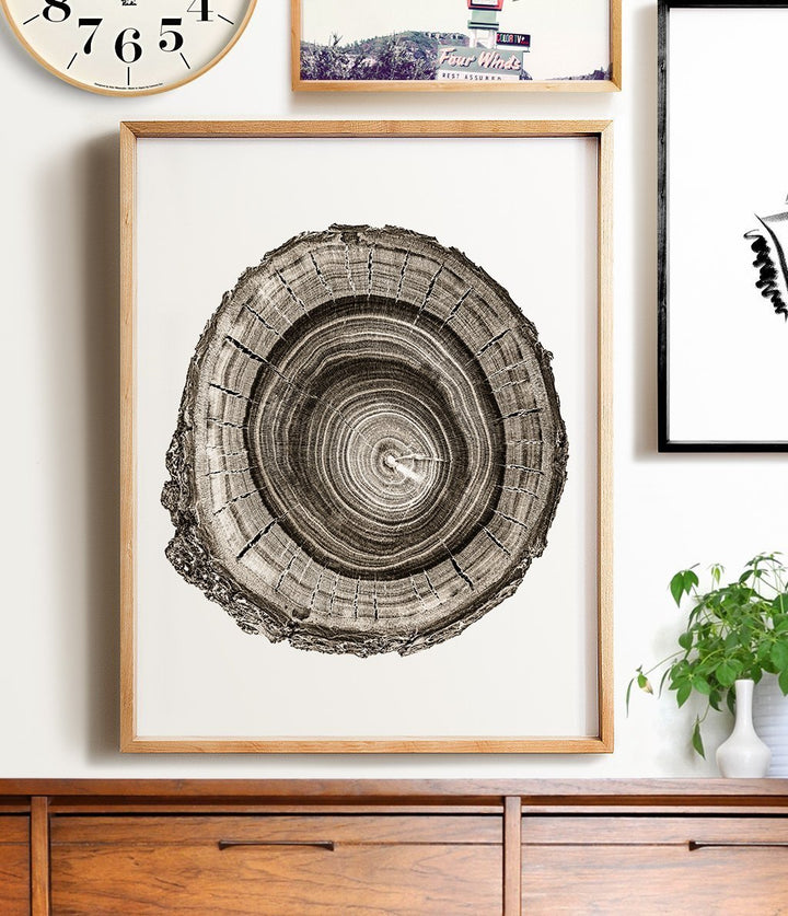 Tree trunk cross-section No. 2 - The Crown Prints