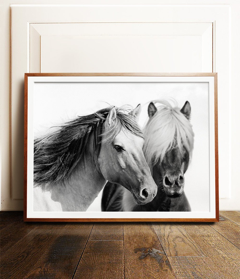 Two horses print - The Crown Prints