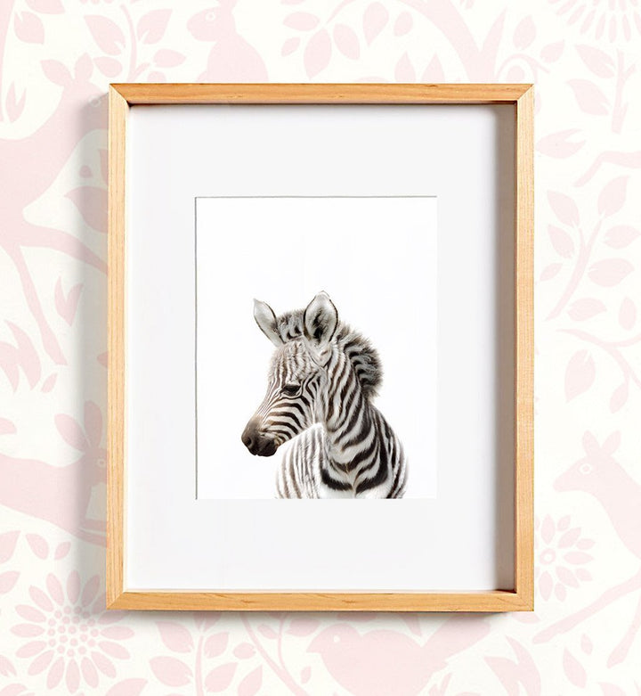 Safari Animal Prints - Set of 8 baby animals - Africa & Asia - The Crown Prints