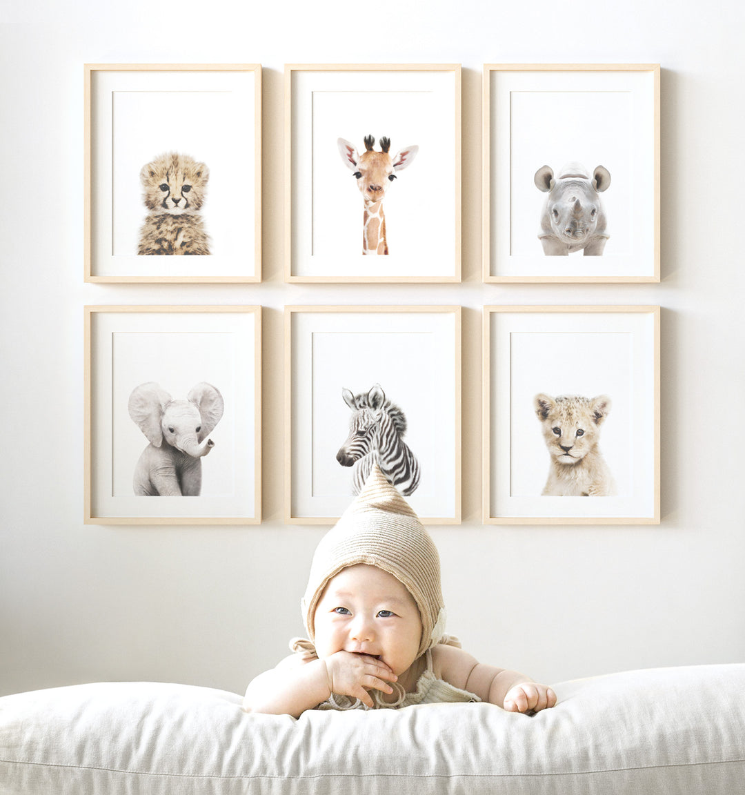 African Safari Theme Nursery Art - Set of 6 baby animals including cheetah, giraffe, rhino, elephant, zebra and lion. Baby Animal Prints from The Crown Prints