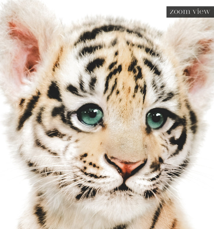 Baby Tiger No. 2