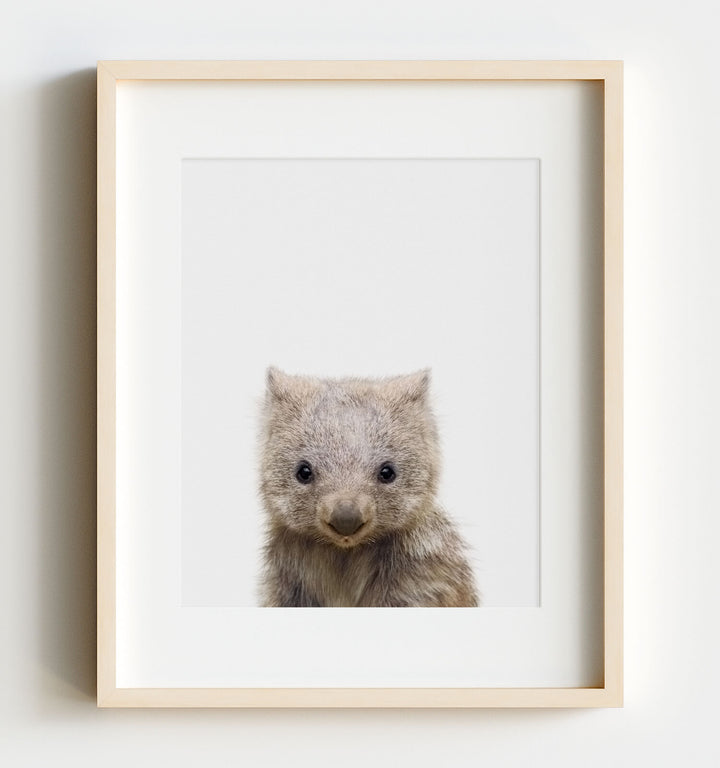 Baby Wombat
