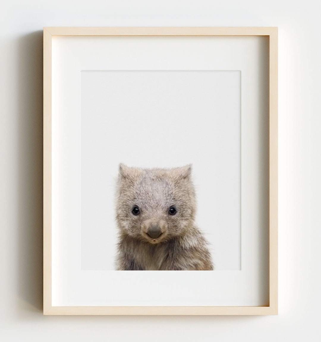 Baby Wombat Poster Print - Australian Animals for Nursery Art Decor