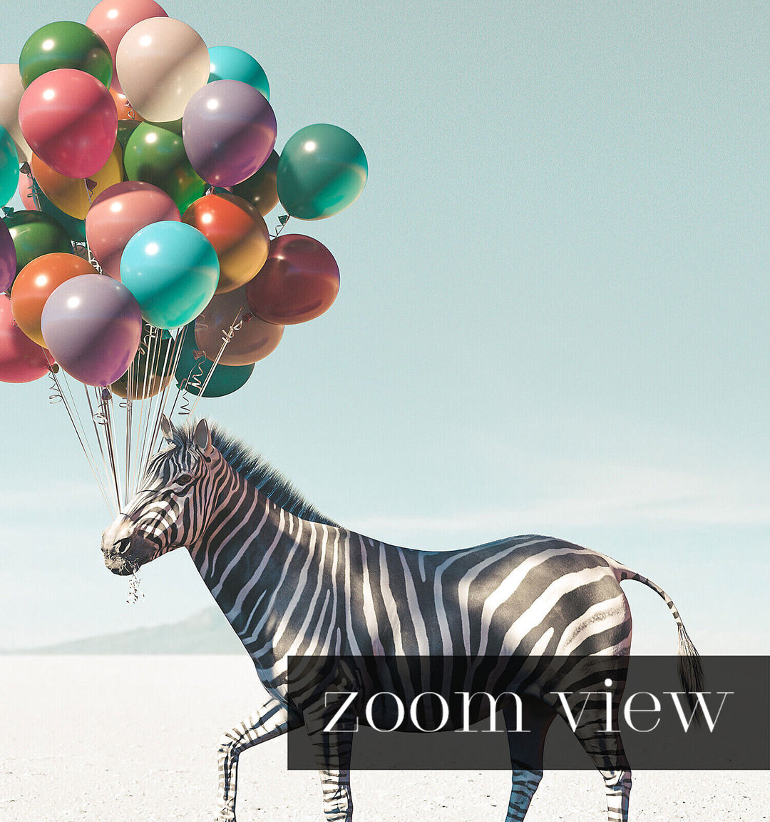Zebra with Balloons Art Print