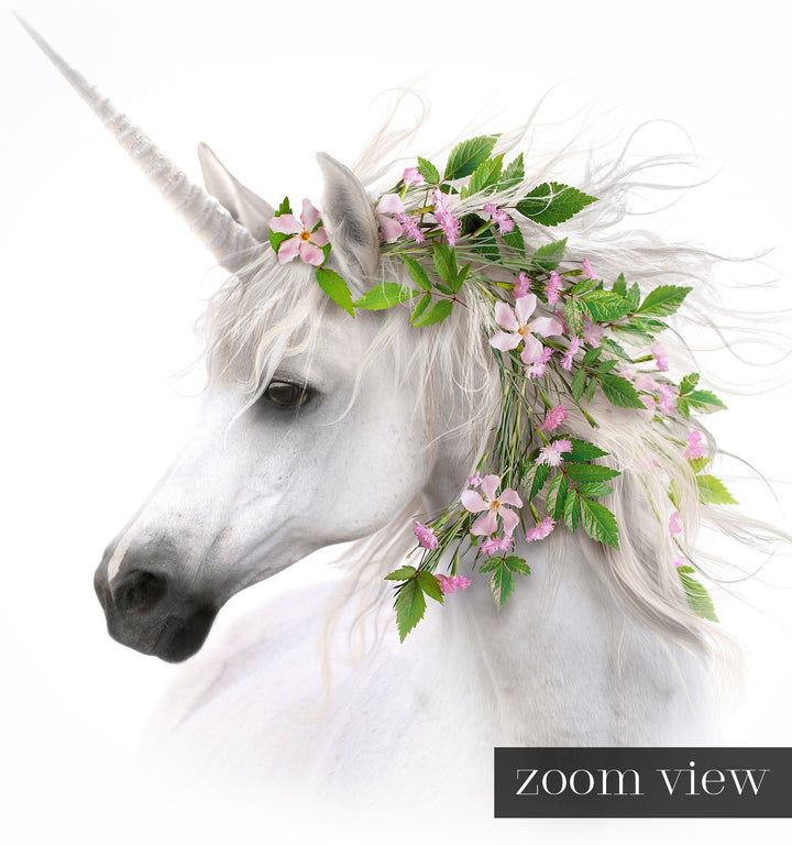 Unicorn with Flower Crown Vignette