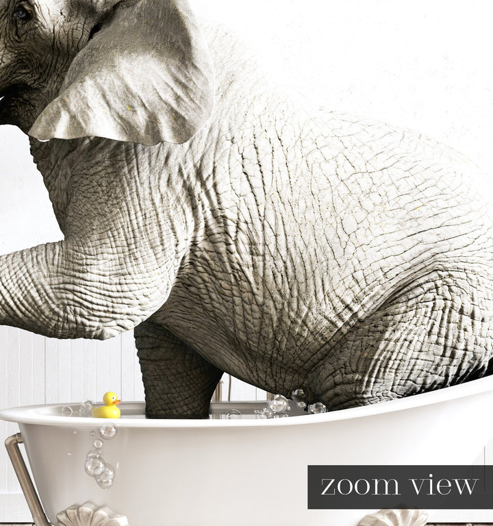 Elephant in White Bathtub