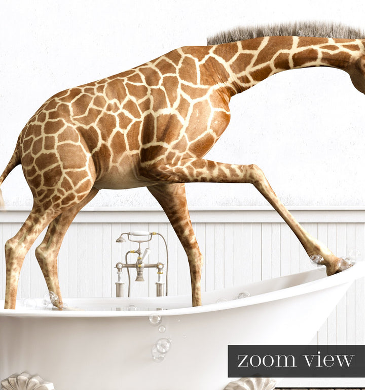 Giraffe in White Bathtub