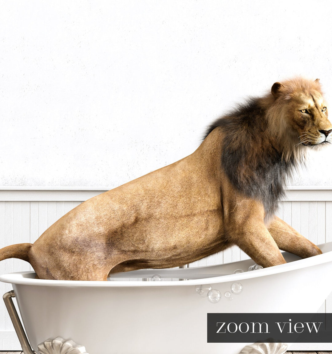 Lion in White Bathtub