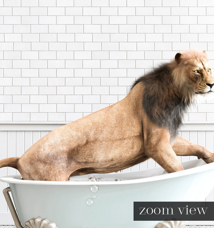 Lion in Blue Bathtub