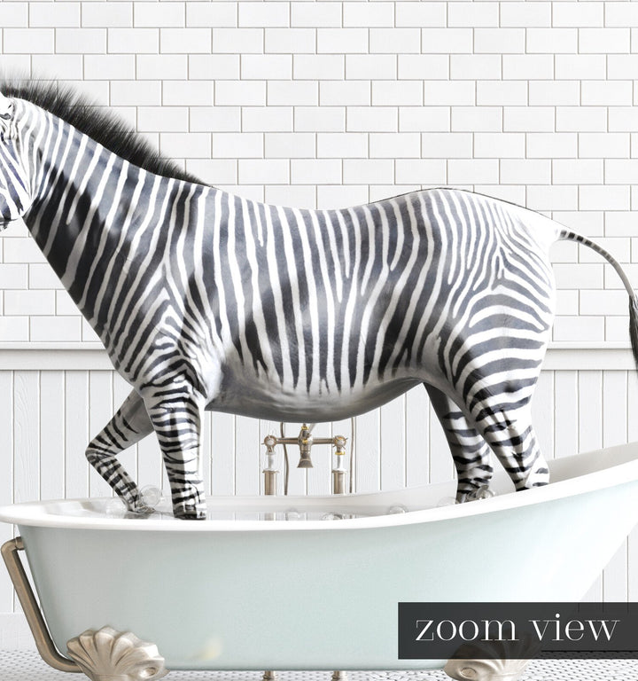 Zebra in Blue Bathtub